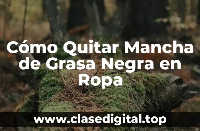 Cómo Quitar Mancha de Grasa Negra en Ropa