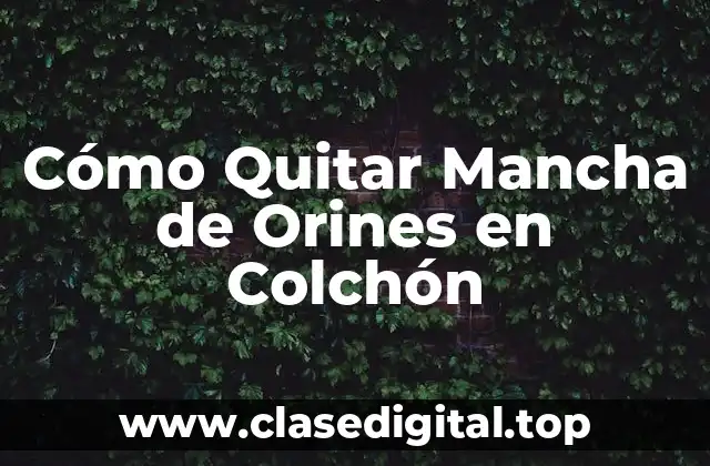Cómo Quitar Mancha de Orines en Colchón