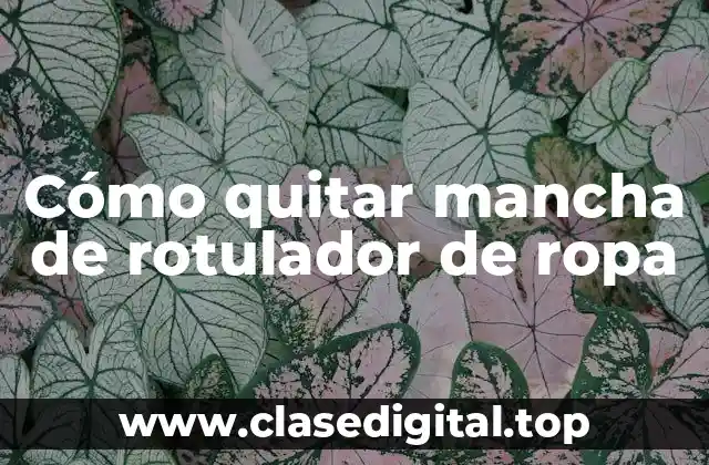 ¿Por qué es difícil quitar mancha de rotulador de ropa?