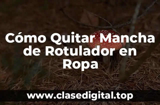 Cómo Quitar Mancha de Rotulador en Ropa