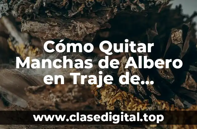 Cómo Quitar Manchas de Albero en Traje de Flamenca