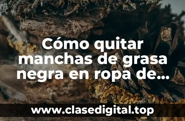 Cómo quitar manchas de grasa negra en ropa de manera efectiva