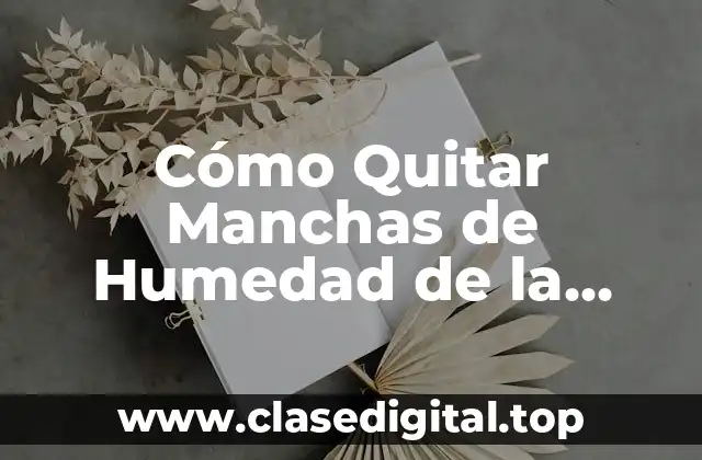 Causas de las Manchas de Humedad en las Paredes