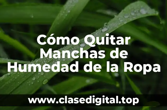 Cómo Quitar Manchas de Humedad de la Ropa