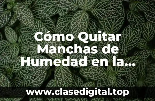 Cómo Quitar Manchas de Humedad en la Pared