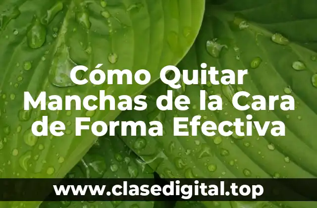 Cómo Quitar Manchas de la Cara de Forma Efectiva