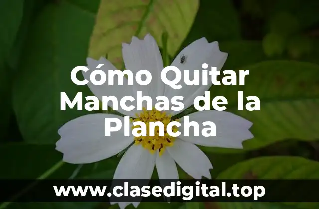Cómo Quitar Manchas de la Plancha