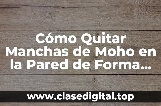Cómo Quitar Manchas de Moho en la Pared de Forma Eficiente y Segura