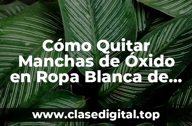 Cómo Quitar Manchas de Óxido en Ropa Blanca de Forma Eficiente