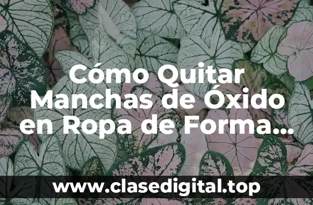 Cómo Quitar Manchas de Óxido en Ropa de Forma Efectiva