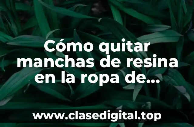 ¿Qué es la resina y por qué se adhiere a la ropa?