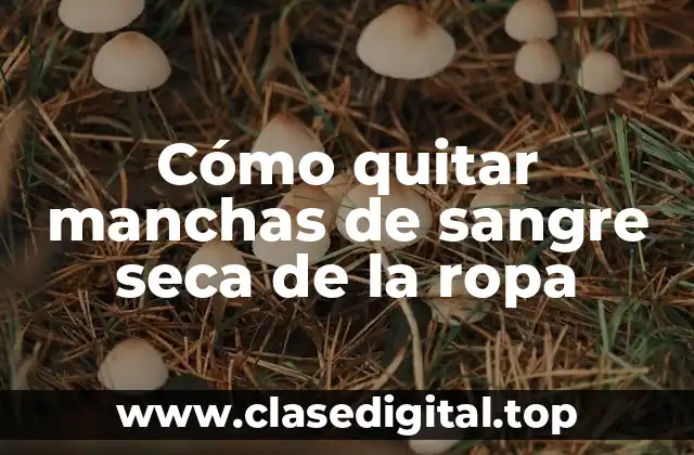 ¿Cuál es la mejor forma de tratar manchas de sangre seca?