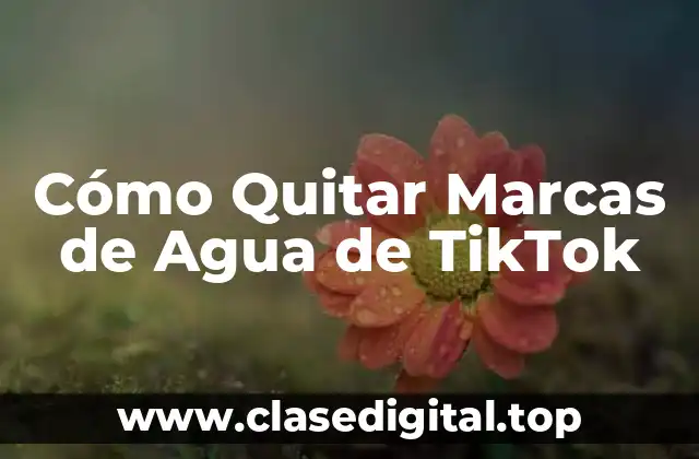 Cómo Quitar Marcas de Agua de TikTok