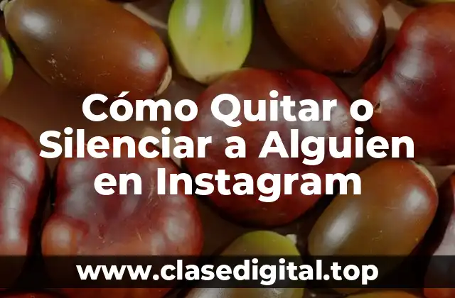 Cómo Quitar o Silenciar a Alguien en Instagram