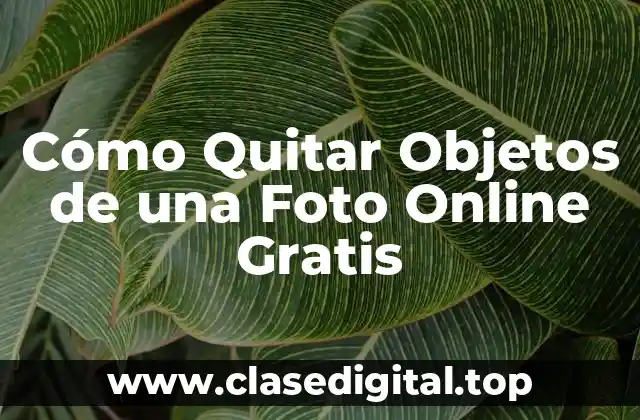 Cómo Quitar Objetos de una Foto Online Gratis