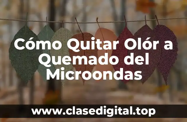 Cómo Quitar Olór a Quemado del Microondas