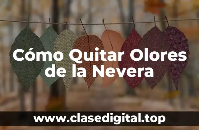 Causas de los Olores de la Nevera