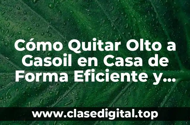 Cómo Quitar Olto a Gasoil en Casa de Forma Eficiente y Segura