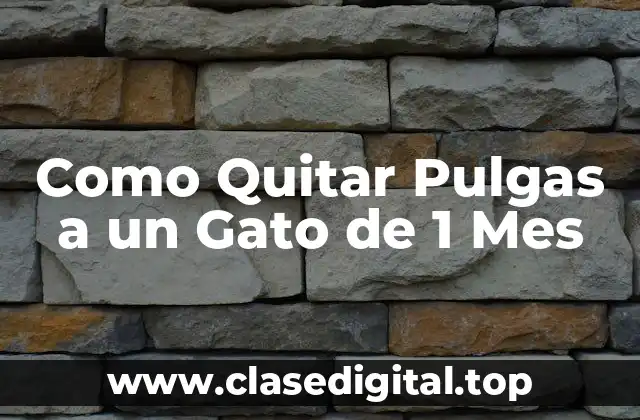 Como Quitar Pulgas a un Gato de 1 Mes