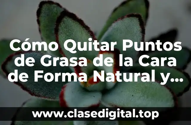 Causas de los Puntos de Grasa en la Cara