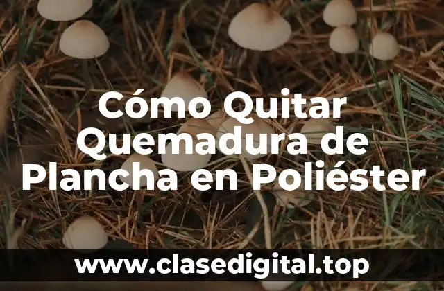 Cómo Quitar Quemadura de Plancha en Poliéster