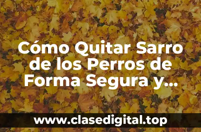 ¿Qué es el Sarro en los Perros?