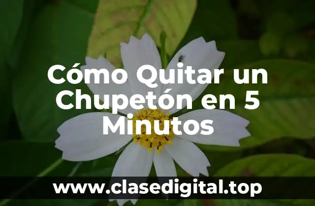 ¿Por qué es Importante Quitar el Chupetón?