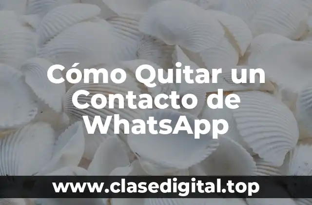 Cómo Quitar un Contacto de WhatsApp