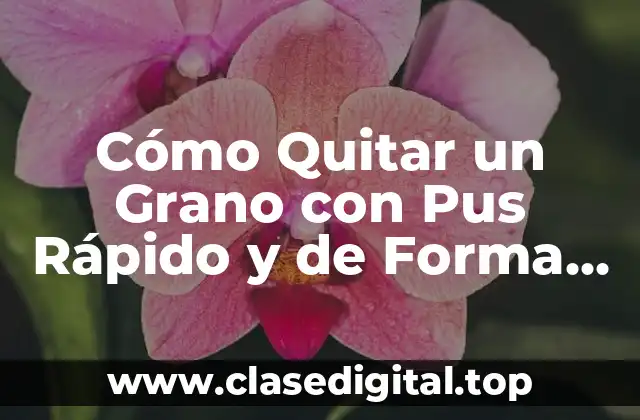 Causas de los Granos con Pus