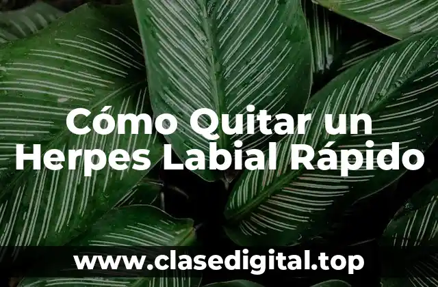 ¿Por qué Aparecen los Herpes Labiales?