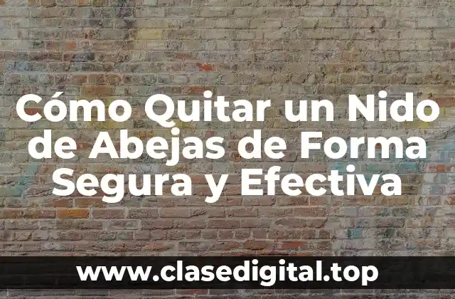 Identificar el Nido de Abejas: Síntomas y Señales