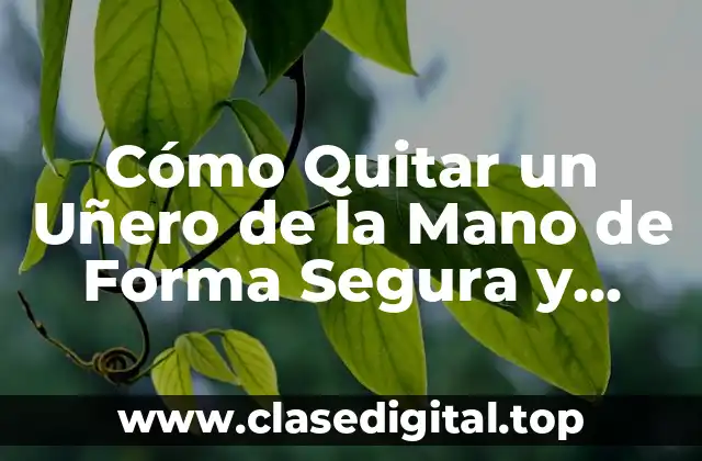 Cómo Quitar un Uñero de la Mano de Forma Segura y Efectiva