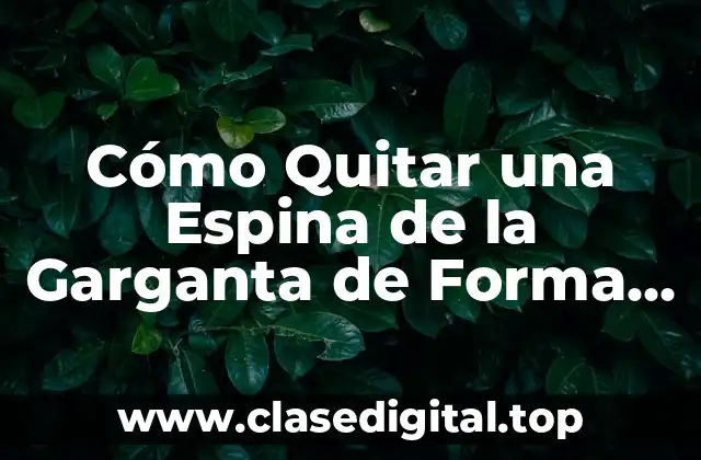 Cómo Quitar una Espina de la Garganta de Forma Segura y Efectiva