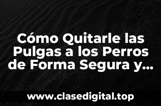 ¿Por qué es Importante Quitarle las Pulgas a los Perros?