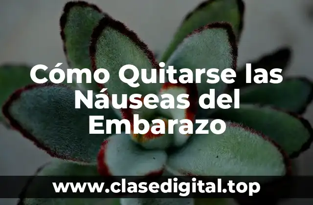 ¿Qué Causa las Náuseas del Embarazo?
