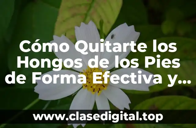 Causas de los Hongos en los Pies