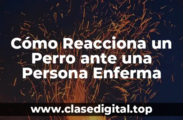 Cómo Reacciona un Perro ante una Persona Enferma