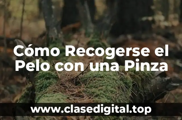 Cómo Recogerse el Pelo con una Pinza
