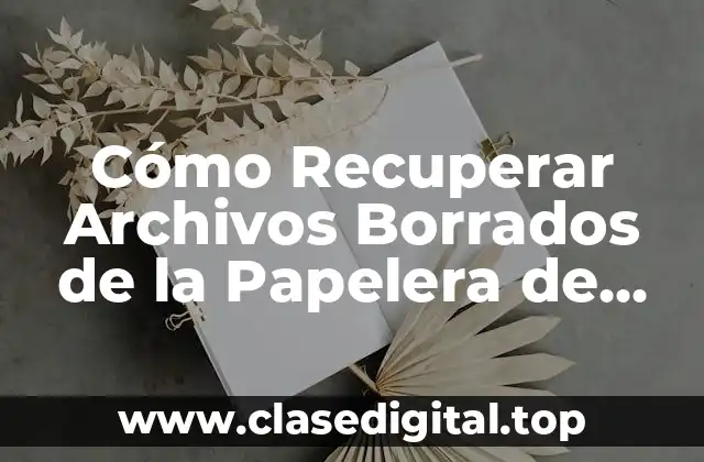 ¿Por qué los Archivos se Borraban Permanente de la Papelera de Reciclaje?