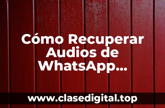 Cómo Recuperar Audios de WhatsApp Borradose