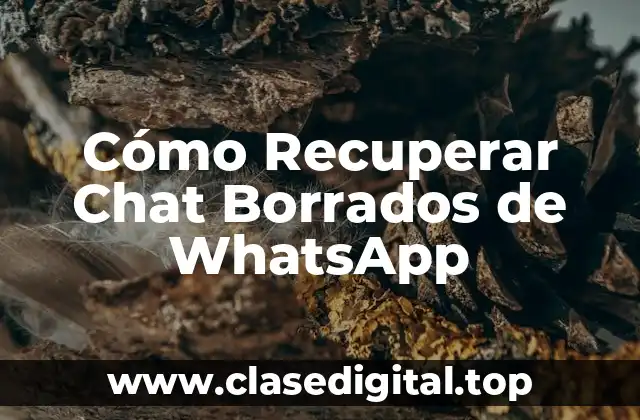 Cómo Recuperar Chat Borrados de WhatsApp
