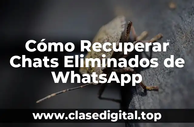 Cómo Recuperar Chats Eliminados de WhatsApp