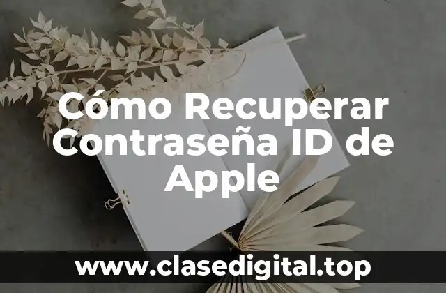 Cómo Recuperar Contraseña ID de Apple