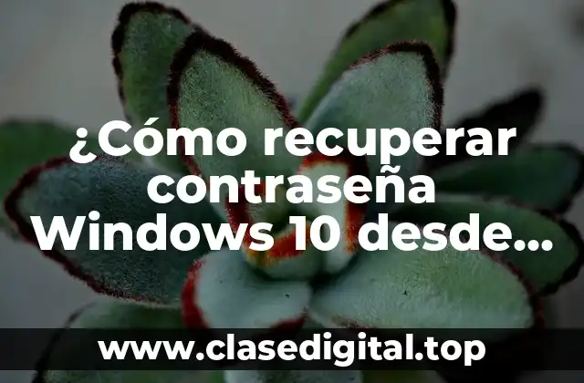¿Cómo recuperar contraseña Windows 10 desde BIOS?