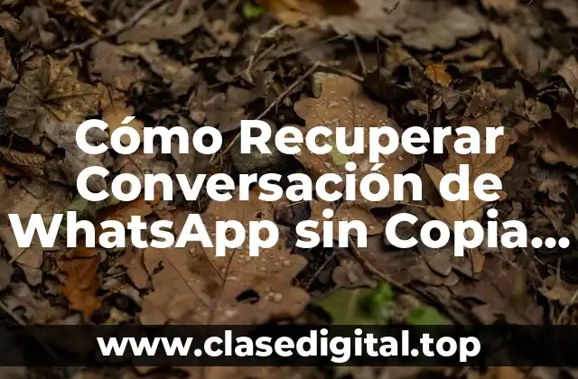¿Por qué es importante recuperar conversaciones de WhatsApp?