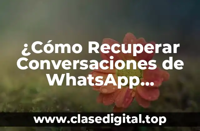 ¿Cómo Recuperar Conversaciones de WhatsApp Eliminadas?