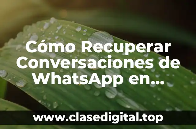 Cómo Recuperar Conversaciones de WhatsApp en iPhone