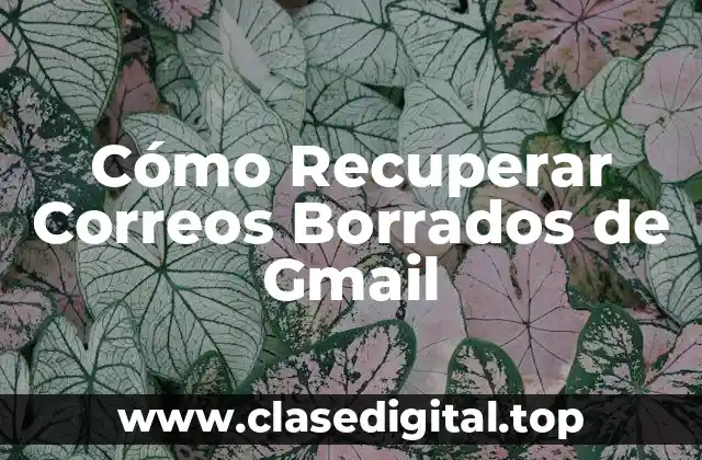 Cómo Recuperar Correos Borrados de Gmail