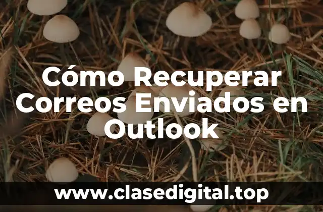 ¿Por qué es Importante Recuperar Correos Enviados en Outlook?