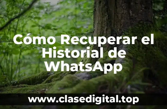 Cómo Recuperar el Historial de WhatsApp